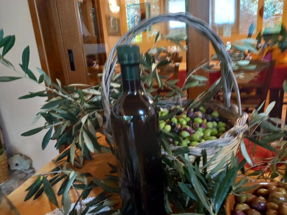 리올라사르도 Agriturismo Bachile Bertula 빌라 외부 사진